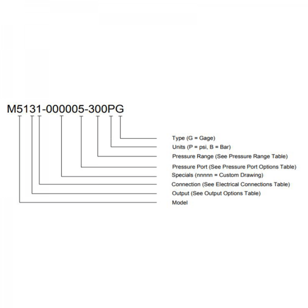 MSI M5100 Series Pressure Transmitter
