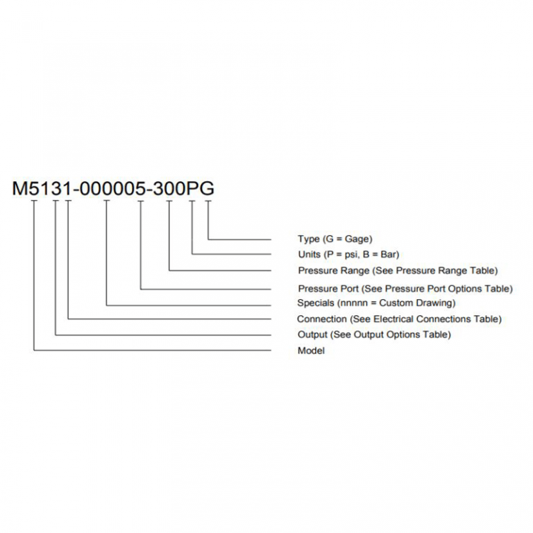 MSI M5100 Series Pressure Transmitter